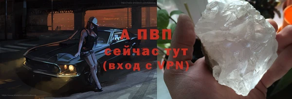 прущие крисы Белокуриха