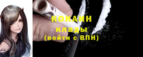 прущие грибы Дубовка