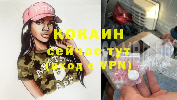 прущие крисы Белокуриха